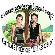 Youth Scholarship at Phnom Penh International University